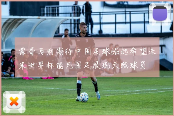 蒙哥马利期待中国足球崛起希望未来世界杯能见国足展现天赋球员