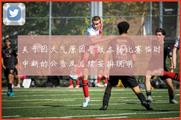 关于因天气原因导致本场比赛临时中断的公告及后续安排说明