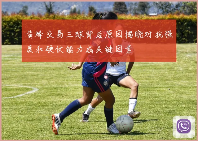 黄蜂交易三球背后原因揭晓对抗强度和硬仗能力成关键因素