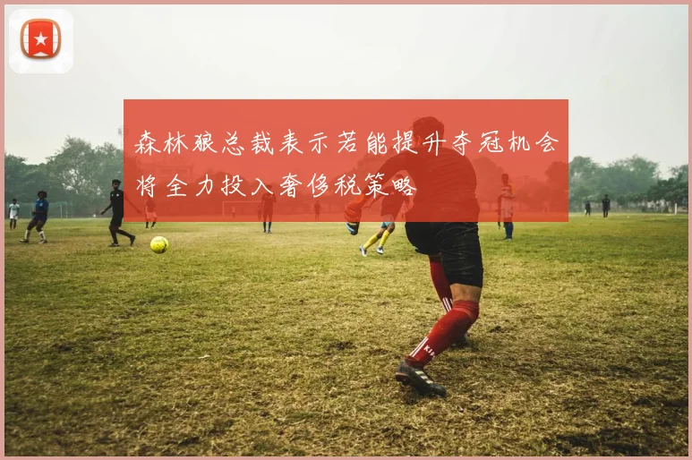 森林狼总裁表示若能提升夺冠机会将全力投入奢侈税策略