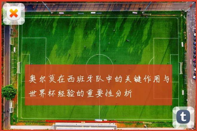 奥尔莫在西班牙队中的关键作用与世界杯经验的重要性分析